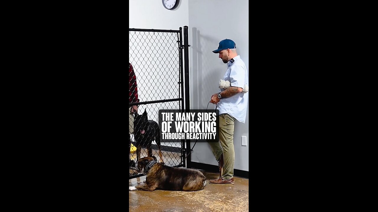 The Many Sides Of Working Through Reactivity