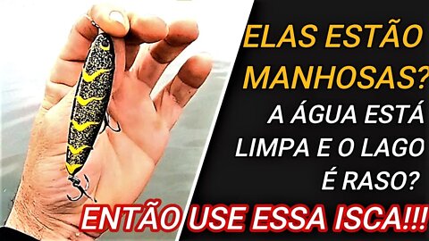 ISCA ARTIFICIAL CERTA PARA O AMBIENTE CERTO!!!!
