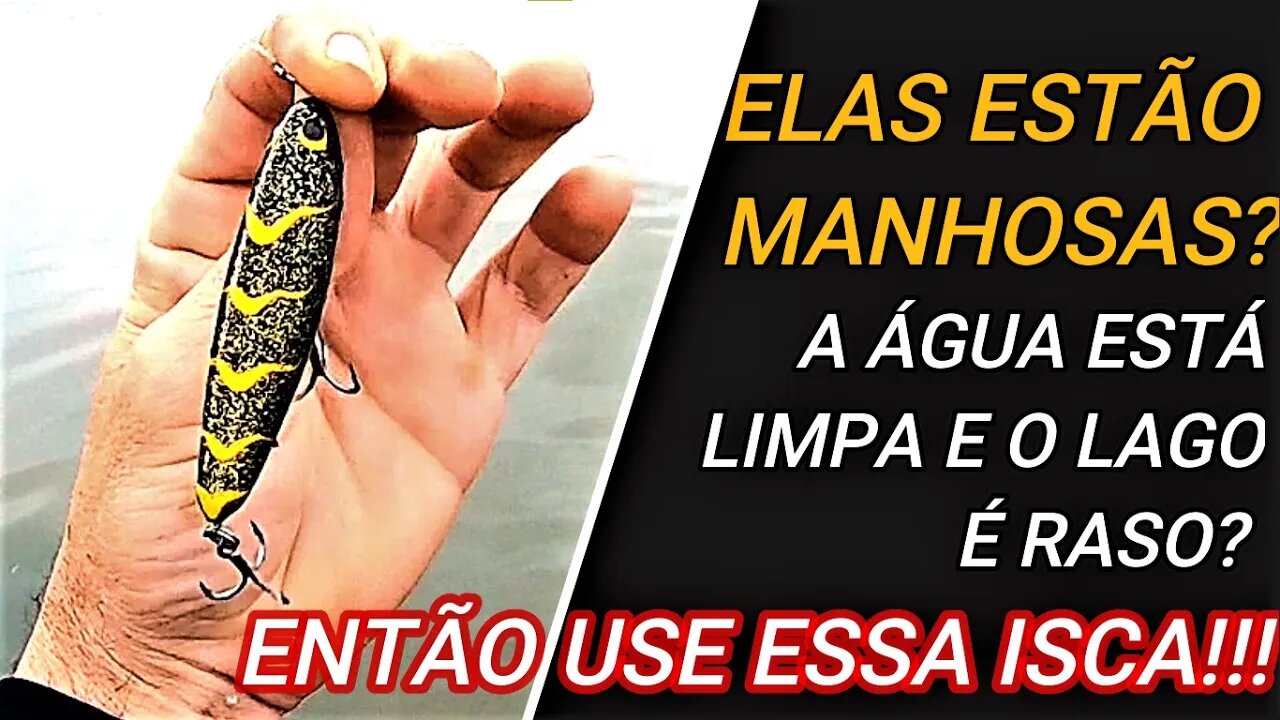 ISCA ARTIFICIAL CERTA PARA O AMBIENTE CERTO!!!!