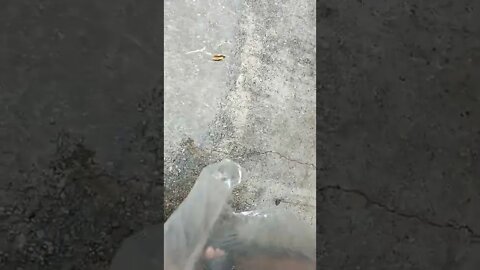 #gangstalking perp walk 06/25/2022 Pt. 3