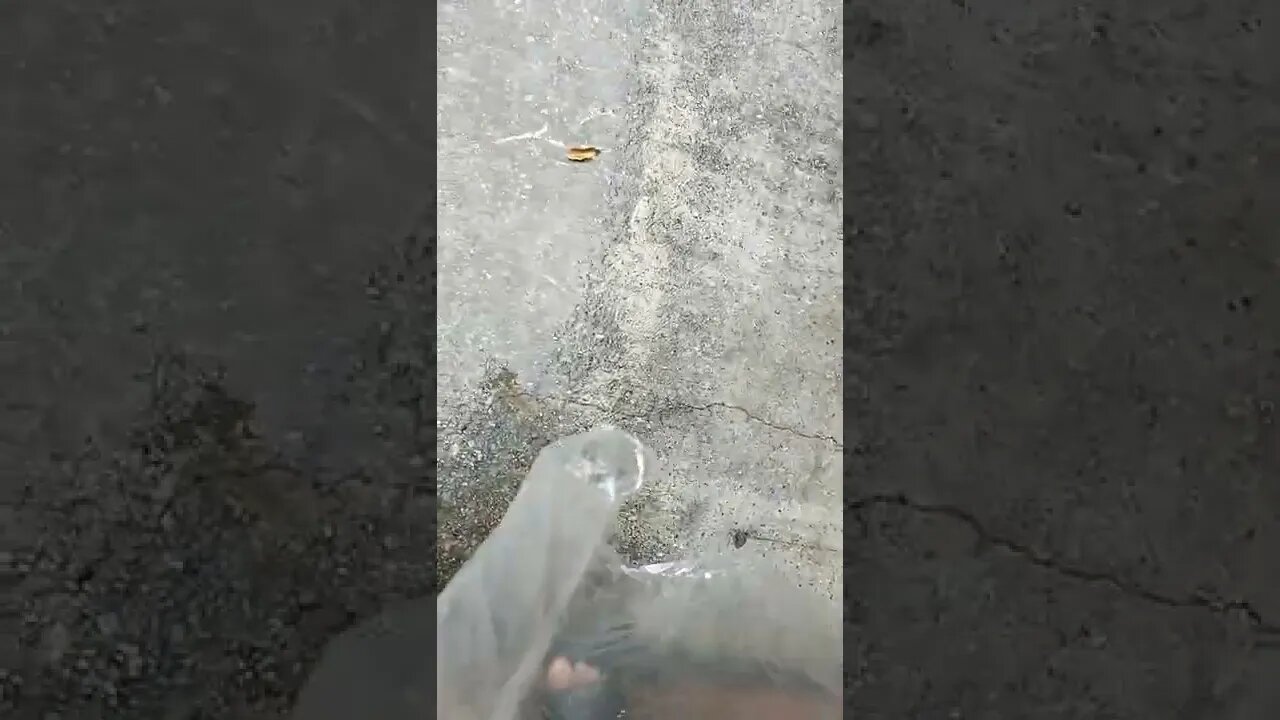 #gangstalking perp walk 06/25/2022 Pt. 3