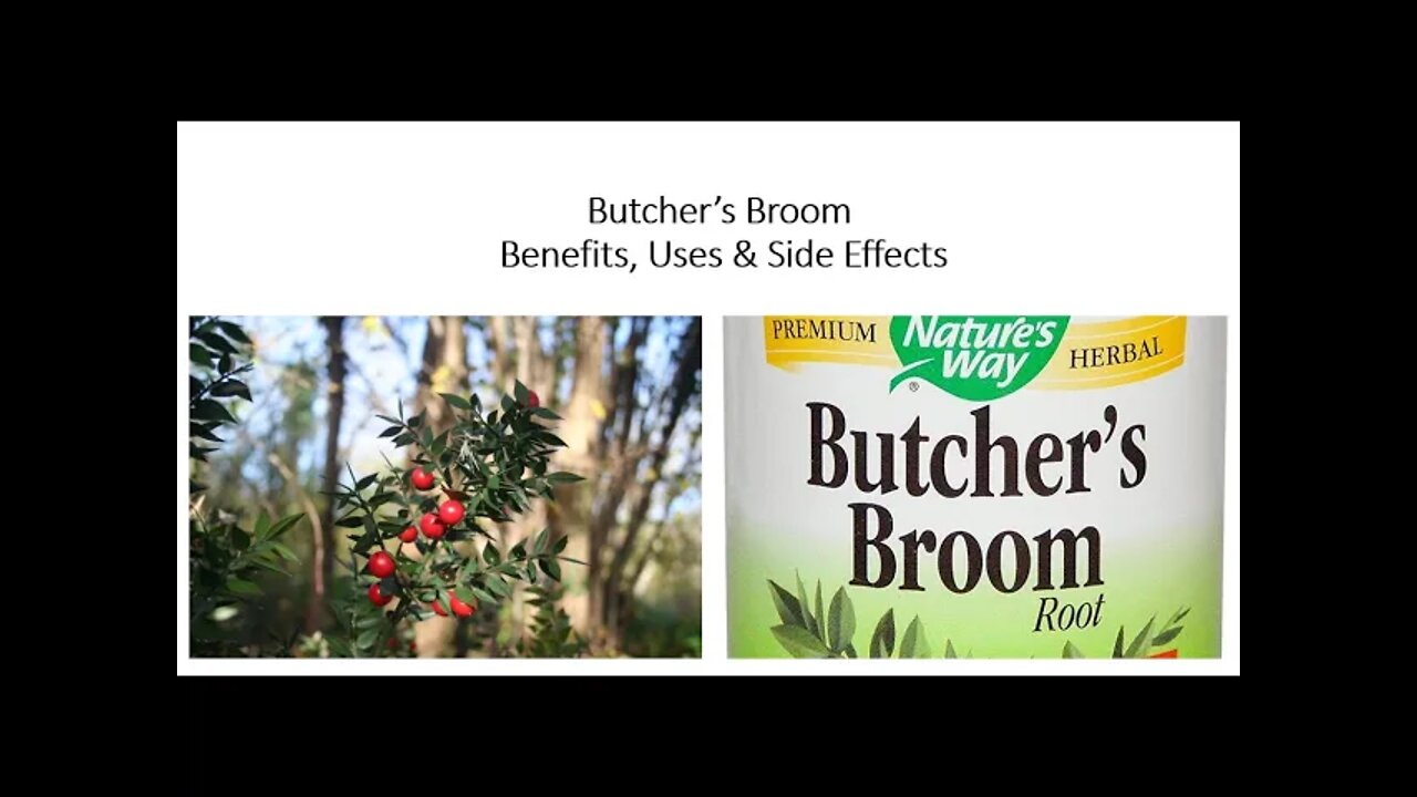 Butcher's Broom Herbal Medicine - Uses, Side Effects & Dose