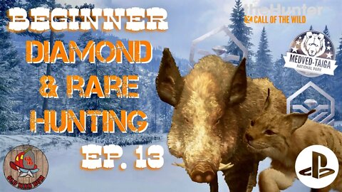 Beginner Diamond & Rare Hunting Ep 13 theHunter Call of the Wild