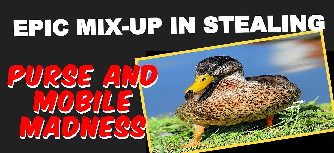 Epic Mix-Up in stealing: Purse and Mobile Madness!