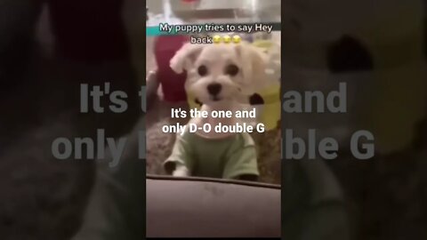 MEME is the one and only D-O double G #shorts