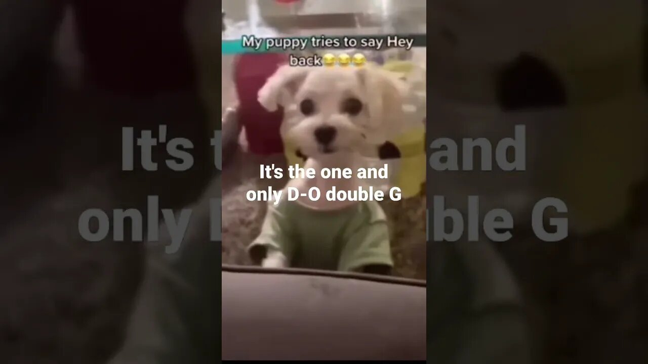 MEME is the one and only D-O double G #shorts