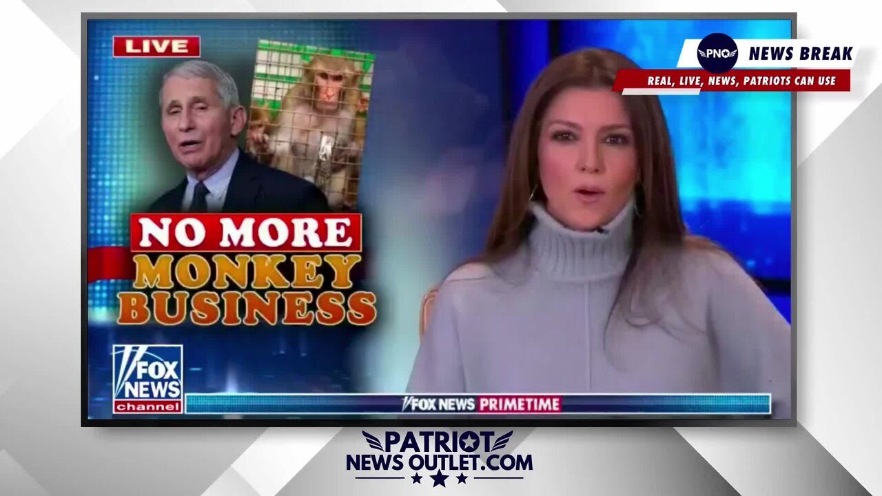Patriot News Outlet | Fauci's NIH Paid Over $205K To Create Transgender Monkeys