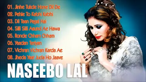 main theek hun shuddh song Pakistani