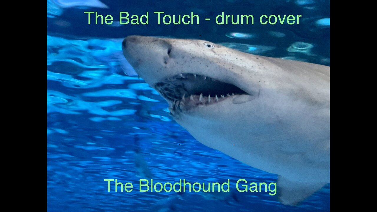 The Bad Touch from the Bloodhound Gang (drum cover)