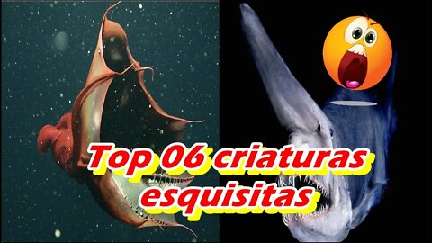 TOP 06 CRIATURAS ESQUISITAS DO FUNDO DO MAR - canal top 10