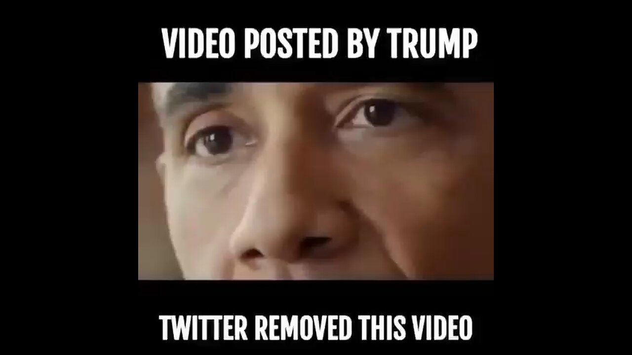 Video Posted by TRUMP Removed by twitter