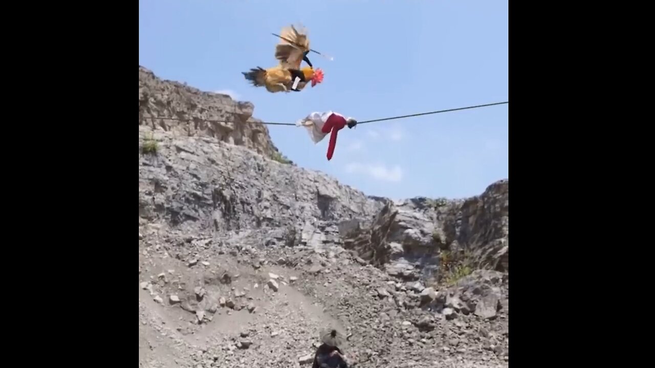 funny videos funny videos