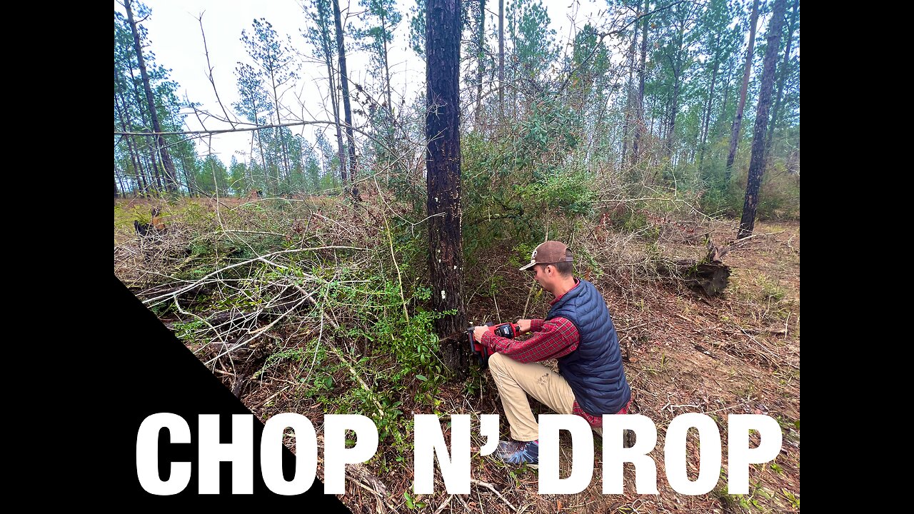 CHOP N’ DROP - We bought land!