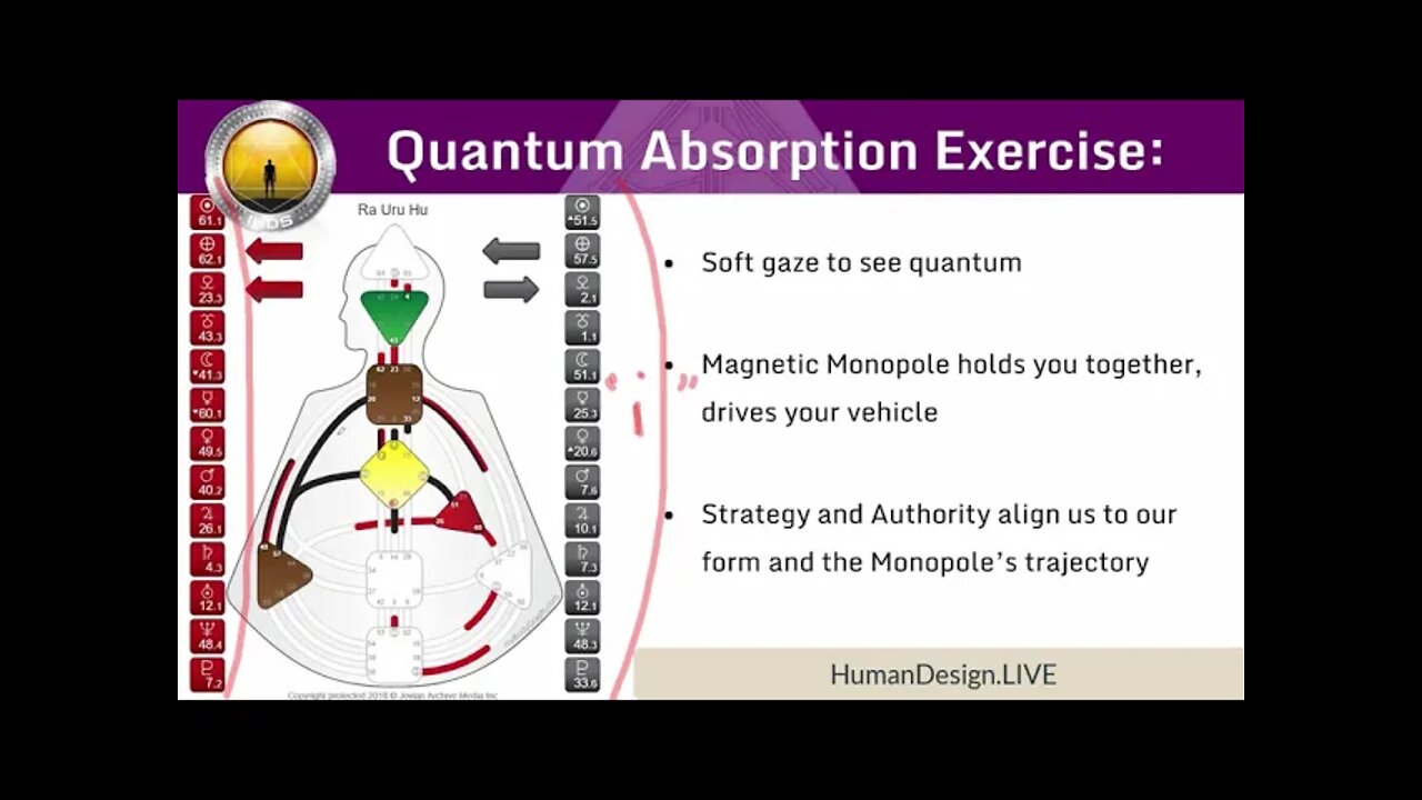 Human Design System Quantum Absorption