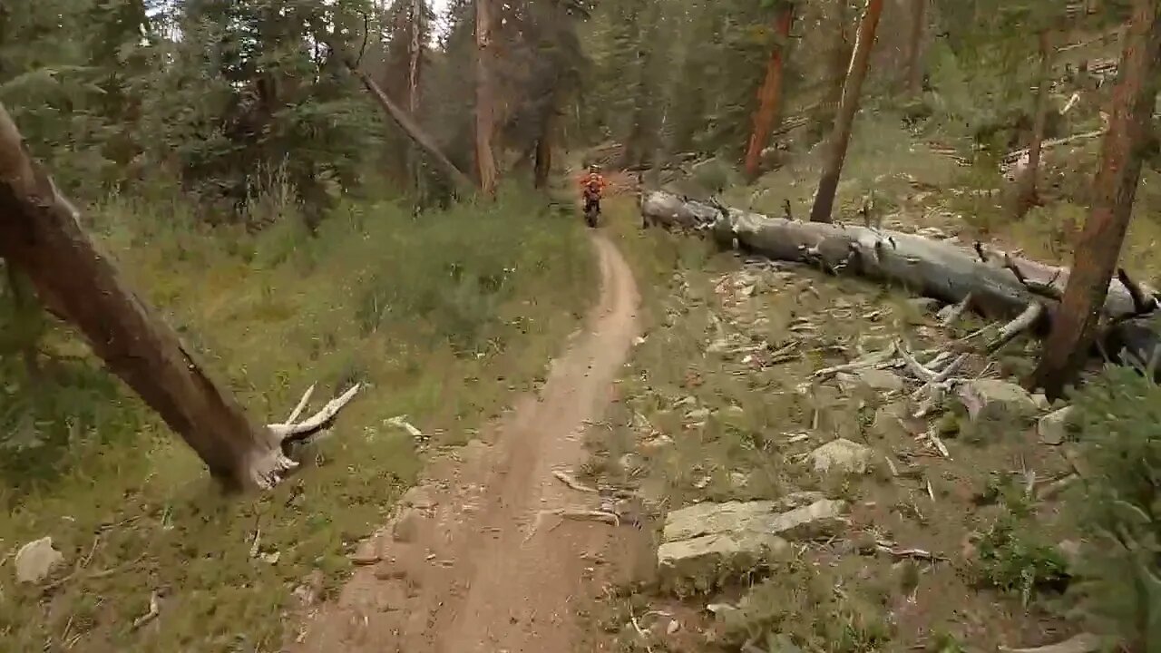 Canyon Creek in the wet (2022) - From Top to Bottom!