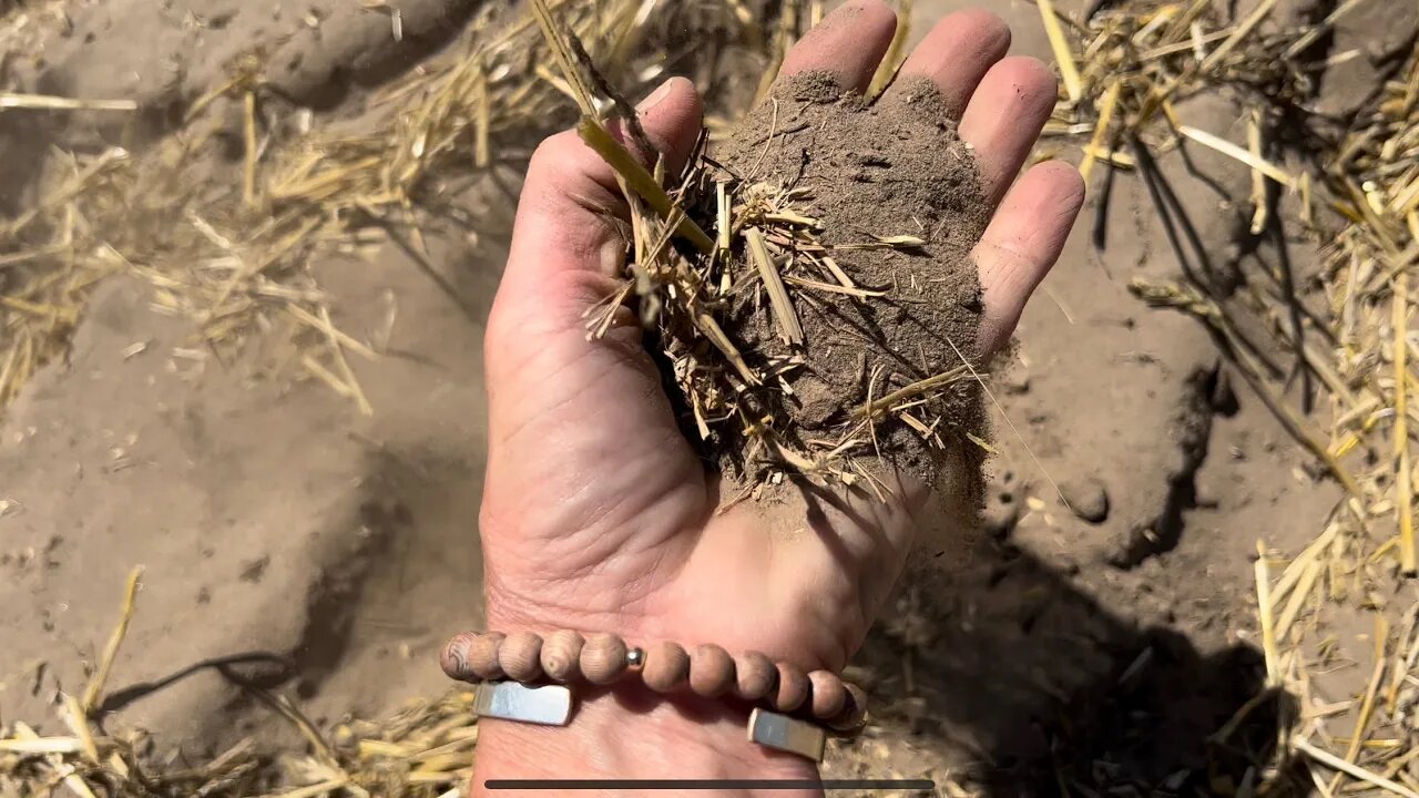 DAYS 24 & 25 / 2022 Wheat Harvest / July 9 & 10