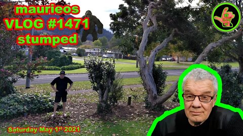 maurieos VLOG #1471 stumped