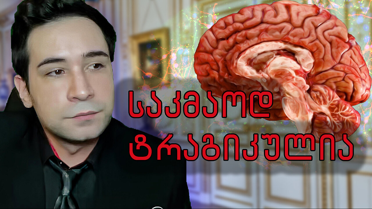 ადამიანის ტვინი, მეხსიერება და ბრბოს შეფასების ხელოვნება | პროვოკატორი
