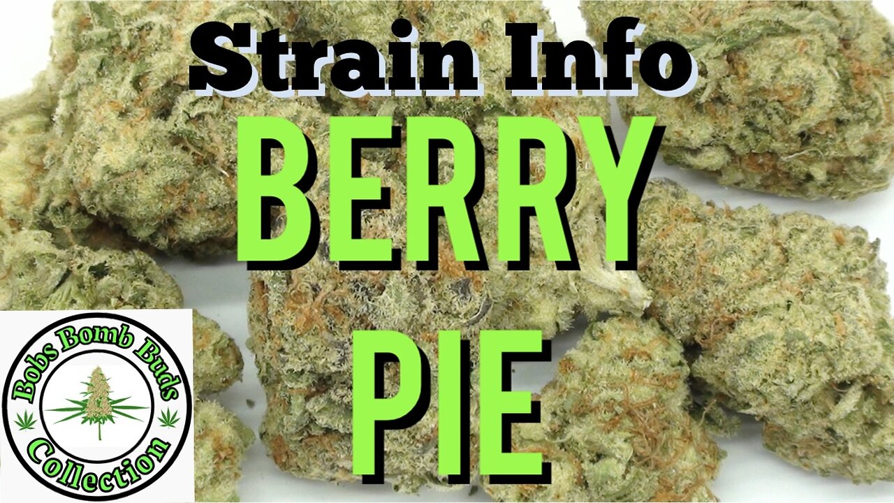 Berry Pie, Buy Low Greens