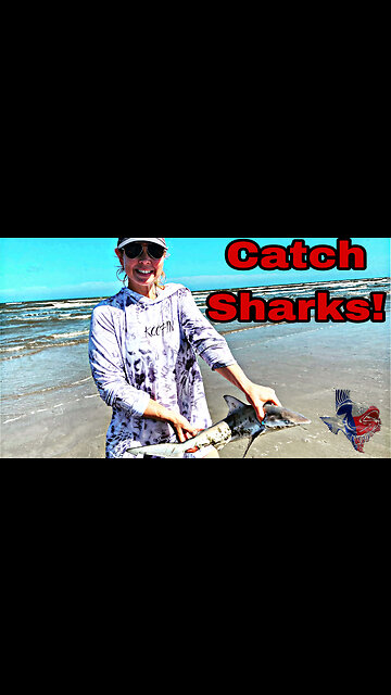 Catching Sharks where you swim!