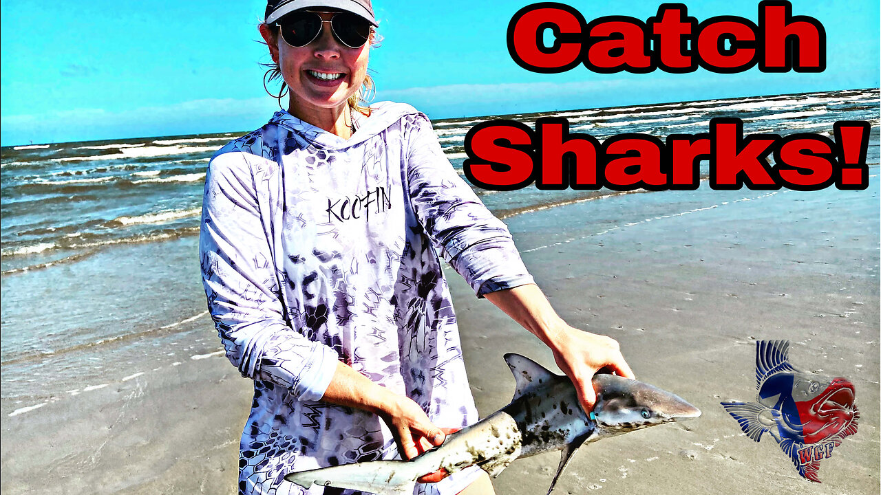 Catching Sharks where you swim!