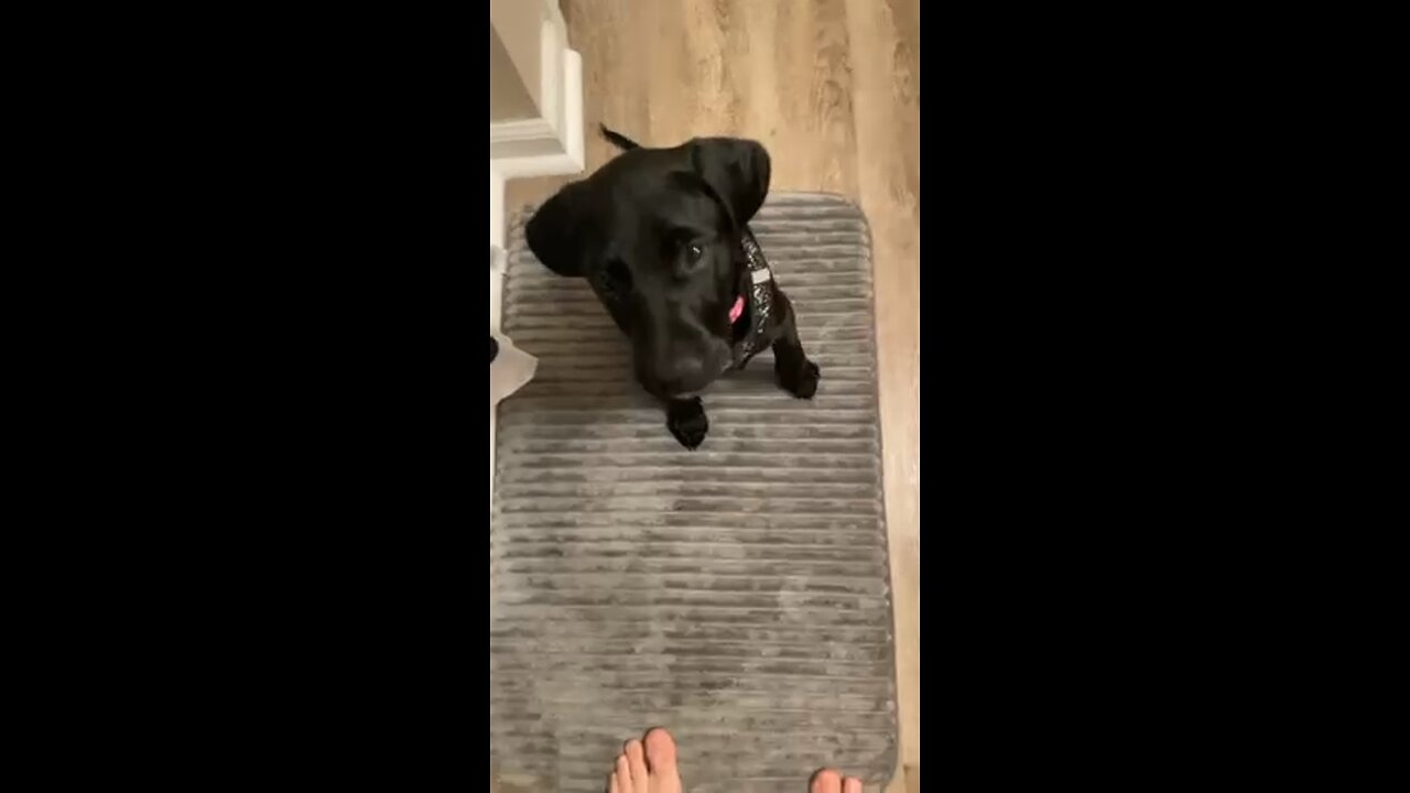 Cora saying no