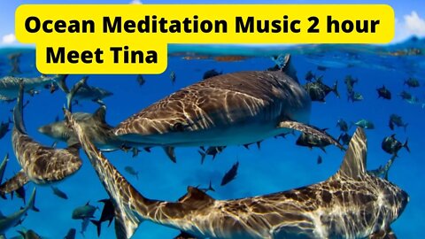 Underwater relaxing music with Beautiful Marine Life 2 hr, bring your salt water tank to your room