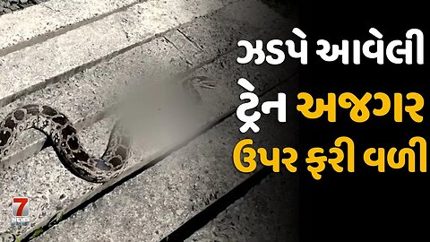 #ANAND : ઝડપે આવેલી ટ્રેન અજગર ઉપર ફરી વળી