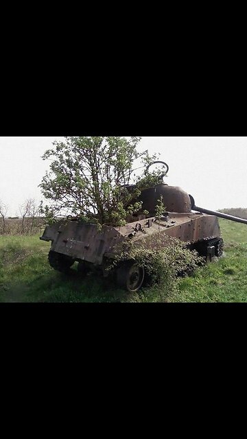 Seems the British might be on to something about those Russian bushes... 😂😂😂