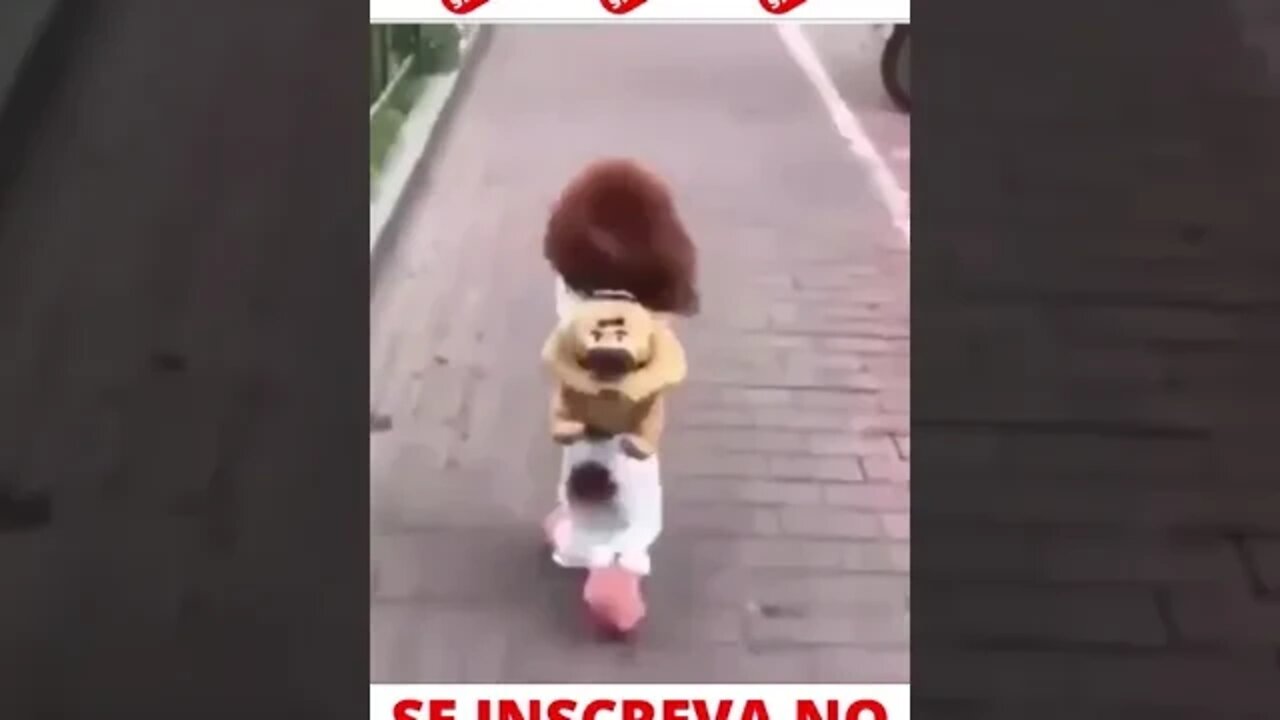 Menino ou cachorro? #shorts