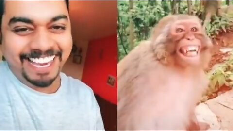 Troll Prank Dog Funny & fake Lion and Fake Tiger Prank To dog & Huge Box Prank to dog