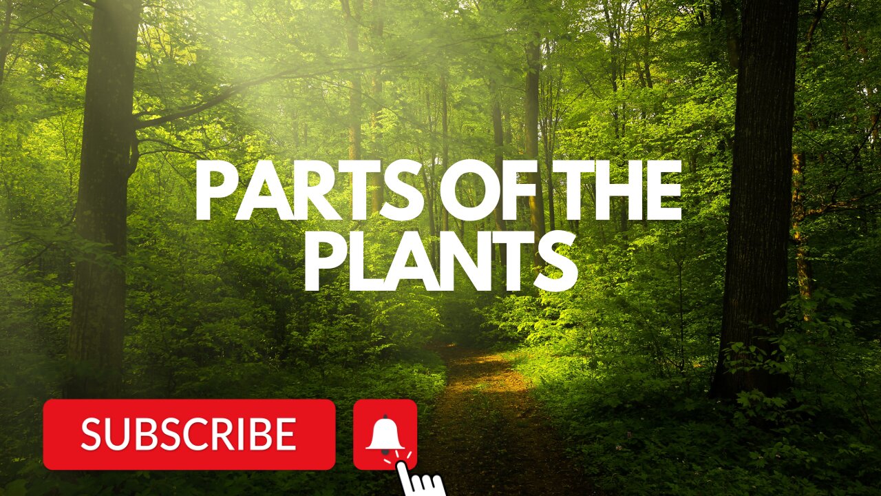 Parts of the plant for kids