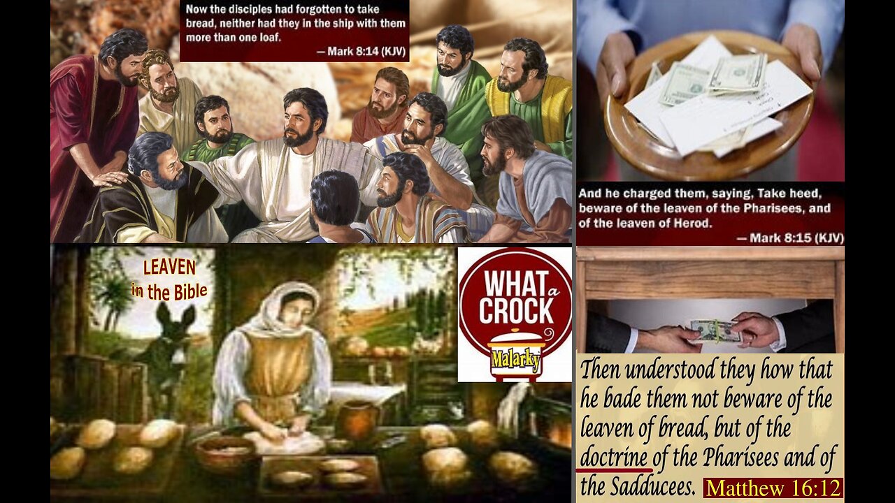 CROCKS OF MALARKY #24