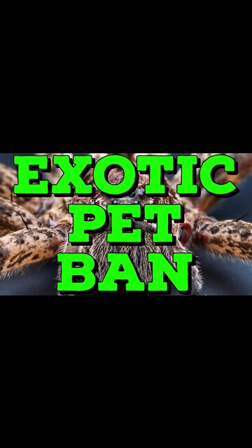 Exotic Pet Ban Lacey Act Passes in the House! #shorts