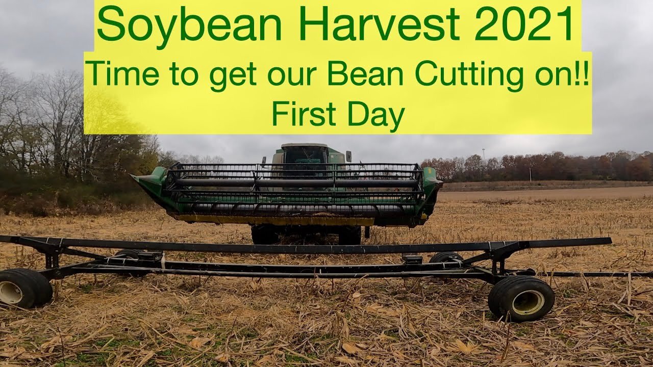 Soybean Harvest 2021 Time to get our Bean Cutting on!!! First Day of Harvest