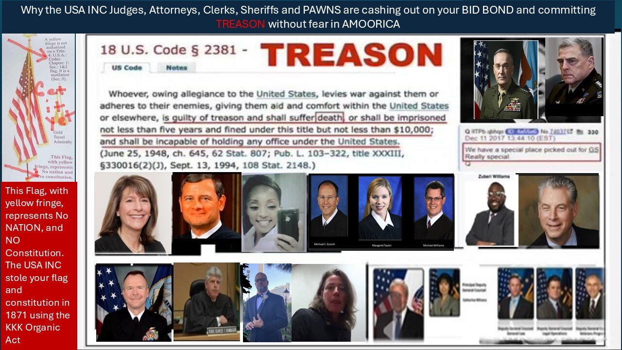 Why the USA INC Judges & PAWNS are cashing out on your BID BOND and committing TREASON without fear