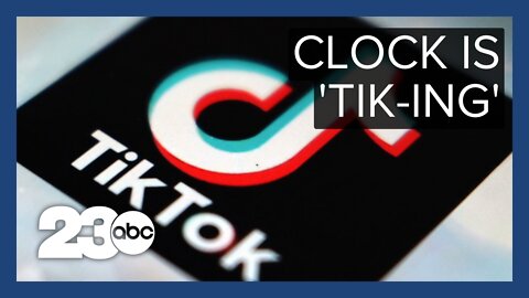 How a TikTok ban could work in the United States