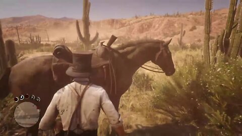 Red Dead Redemption 2 Evil Part 86-Edge Of The World