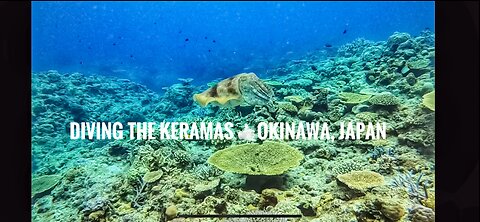 Diving Kerama Islands