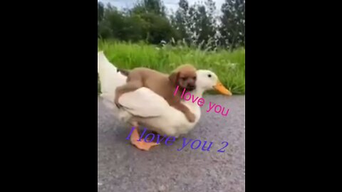 It’s a different love