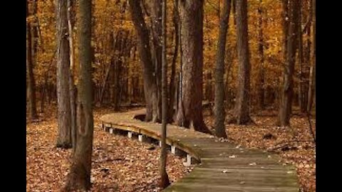 Un automne riche en activités extérieures à la Ville de Rigaud