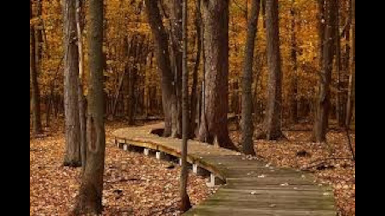 Un automne riche en activités extérieures à la Ville de Rigaud