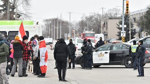 Ginger Trealout From Windsor Protest & News From Ottawa