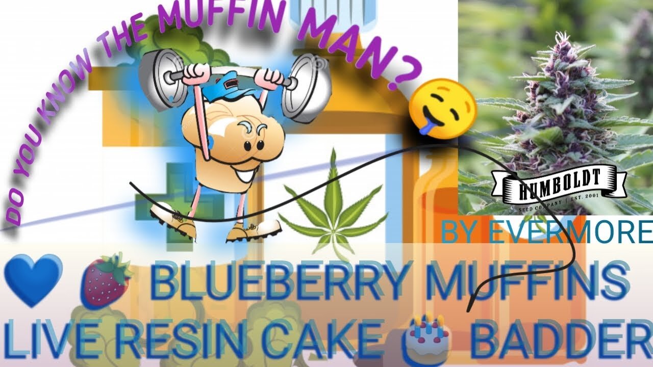 You'll Love This 🤤 - Purple Panty Dropper n Blueberry - Have You Met The Muffin Man?