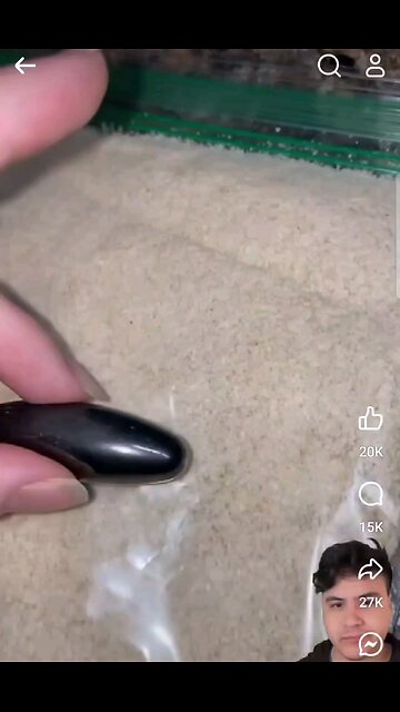 Eugenics Baby Food Metal Shards Found in Oatmeal