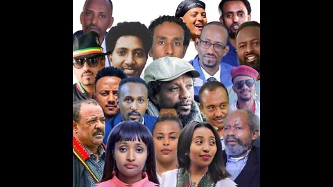 አዎ በጥባጮች ናቸው! ግን በምን? - ኤርሚያስ ለገሰ