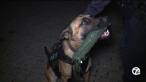 K-9 helps track down criminal in Ann Arbor