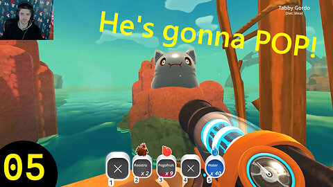 Fat Cat - Slime Rancher 05
