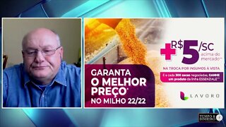 Lavoro segura até esta sexta-feira barter de milho a +R$5,00 no MT e RO