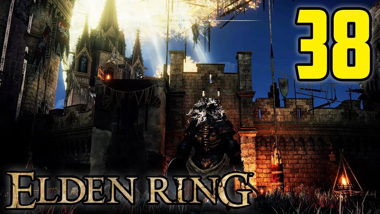 Get Out Of Here You Dumb Bird - Elden Ring : Part 38